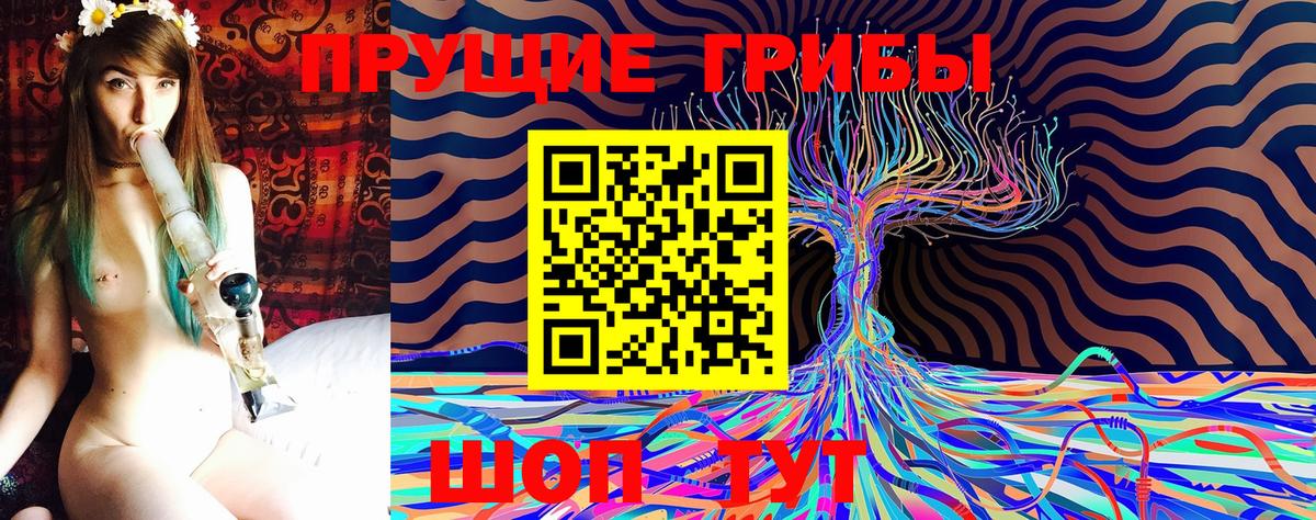 Сызрань  Галлюциногенные грибы Psilocybe  Вход с VPN  Галлюциногенные грибы Cubensis 
