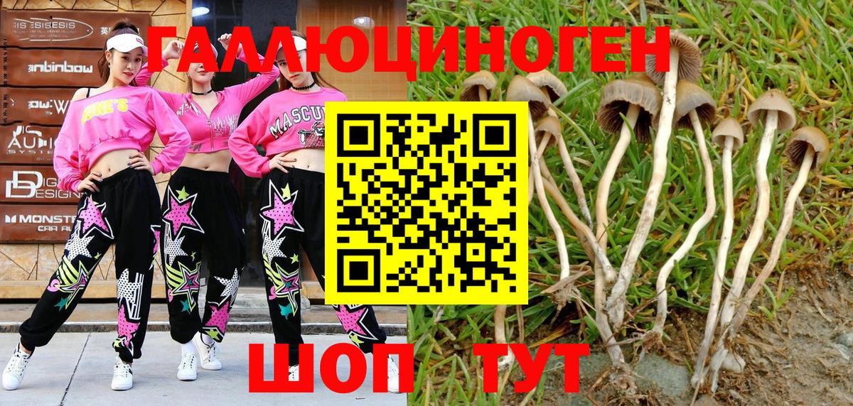 Псилоцибиновые грибы мухоморы Сызрань